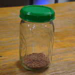 Sprouting Seed - Radish, China Rose, ORGANIC - Sow True Seed