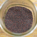 Sprouting Seed - Broccoli, ORGANIC - Sow True Seed