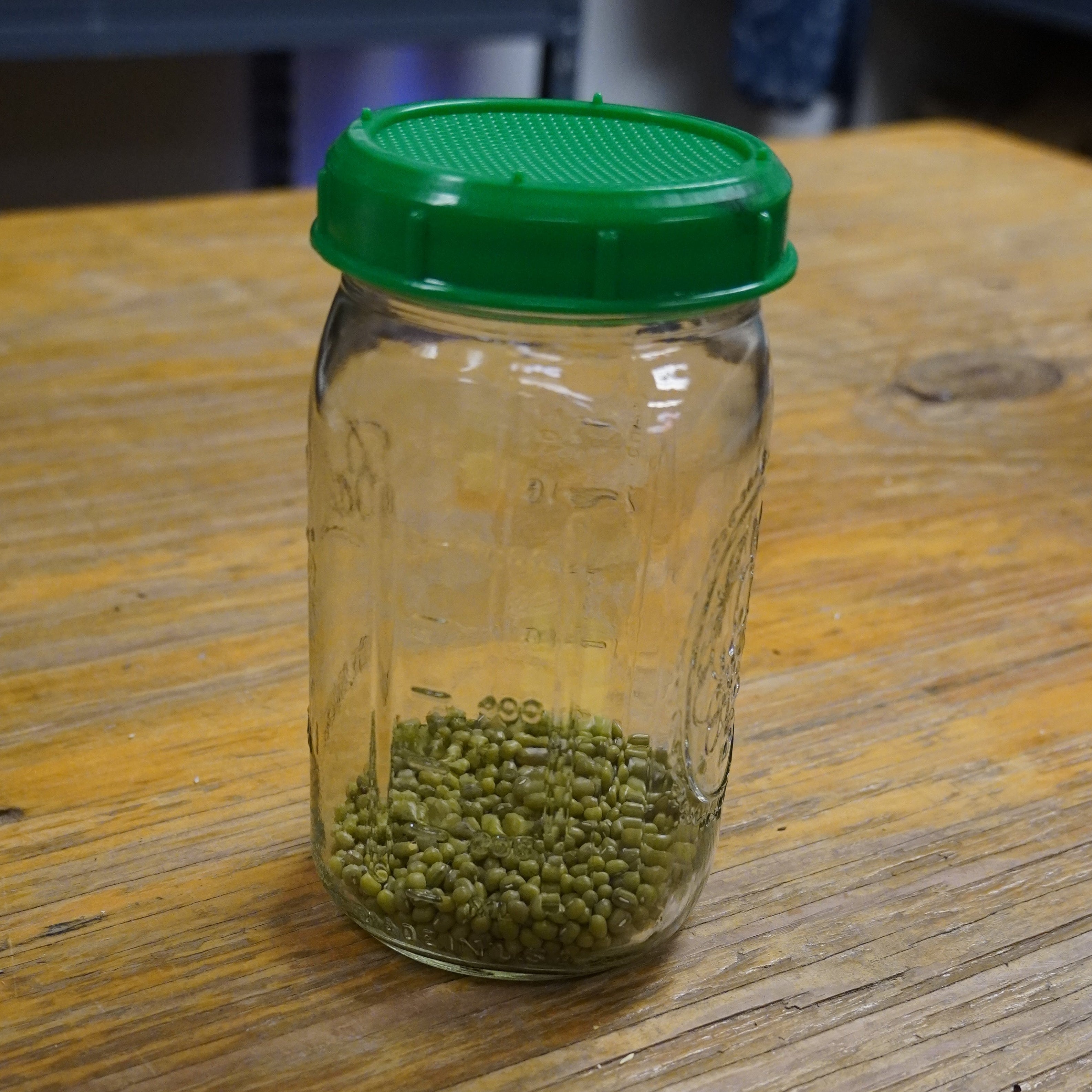 Sprouting Seed Jar Top - Sow True Seed