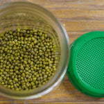 Sprouting Seed Jar Top - Sow True Seed
