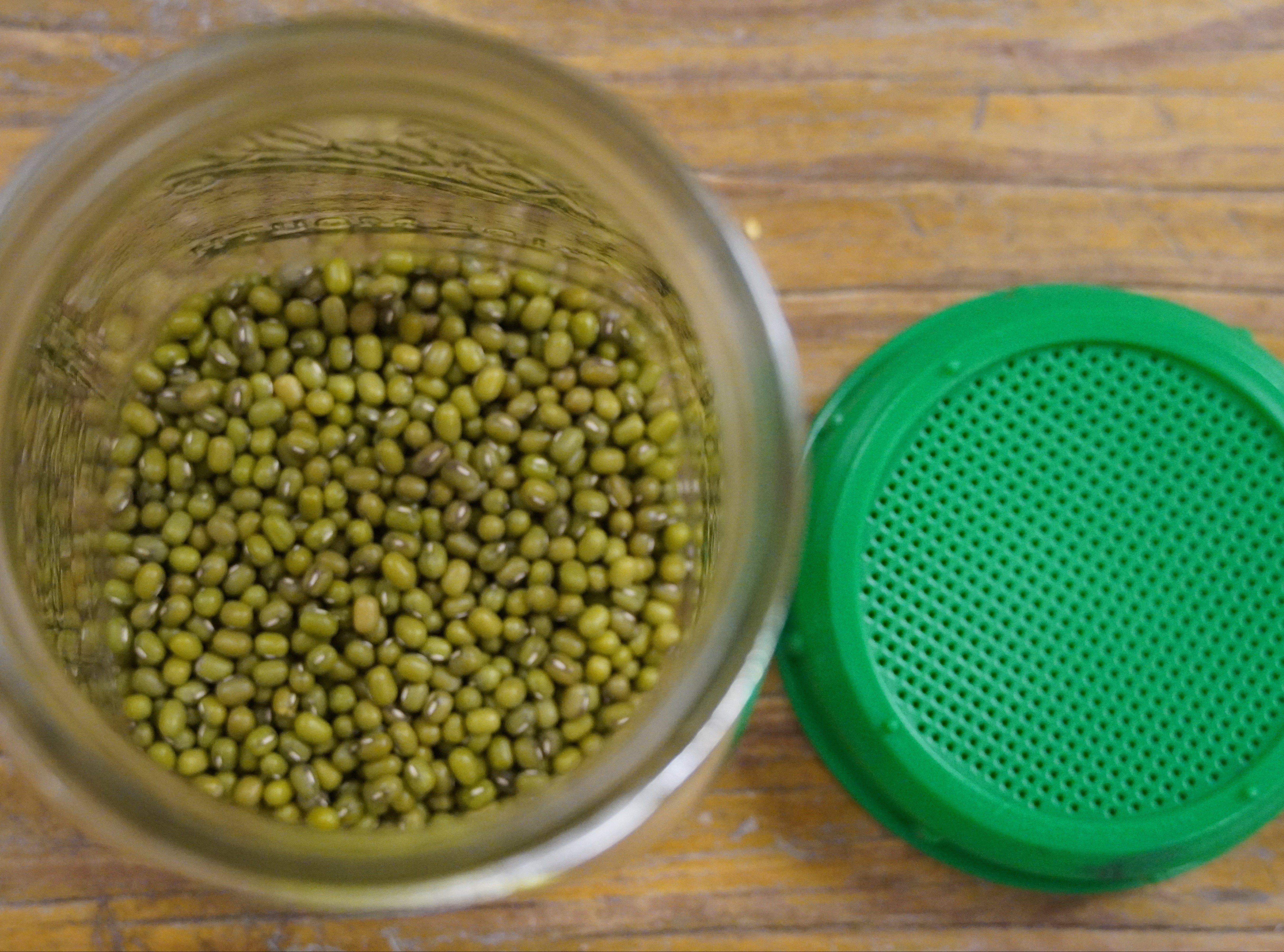 Sprouting Seed Jar Top - Sow True Seed