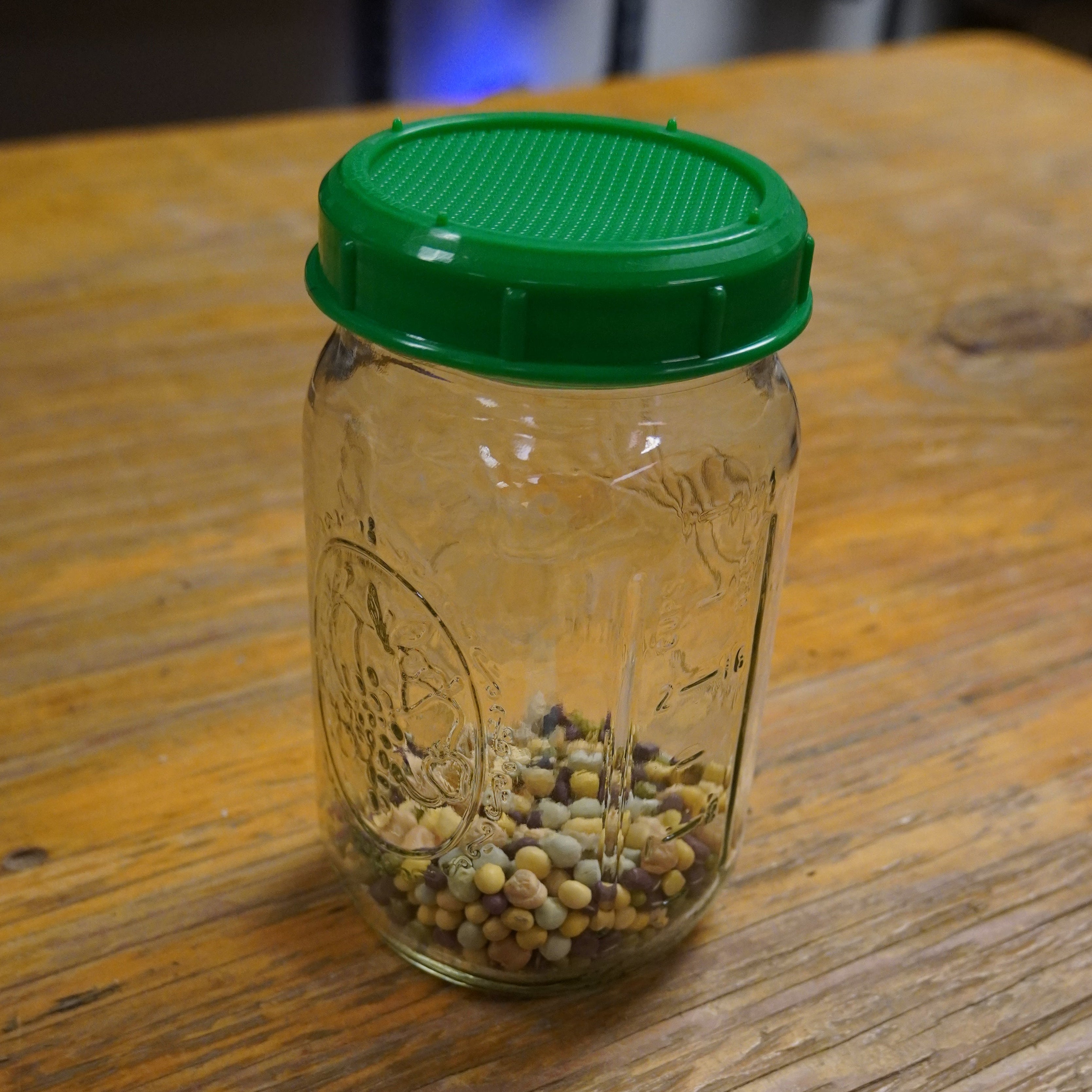 Sprouting Seed - Mega Protein Mix, ORGANIC - Sow True Seed