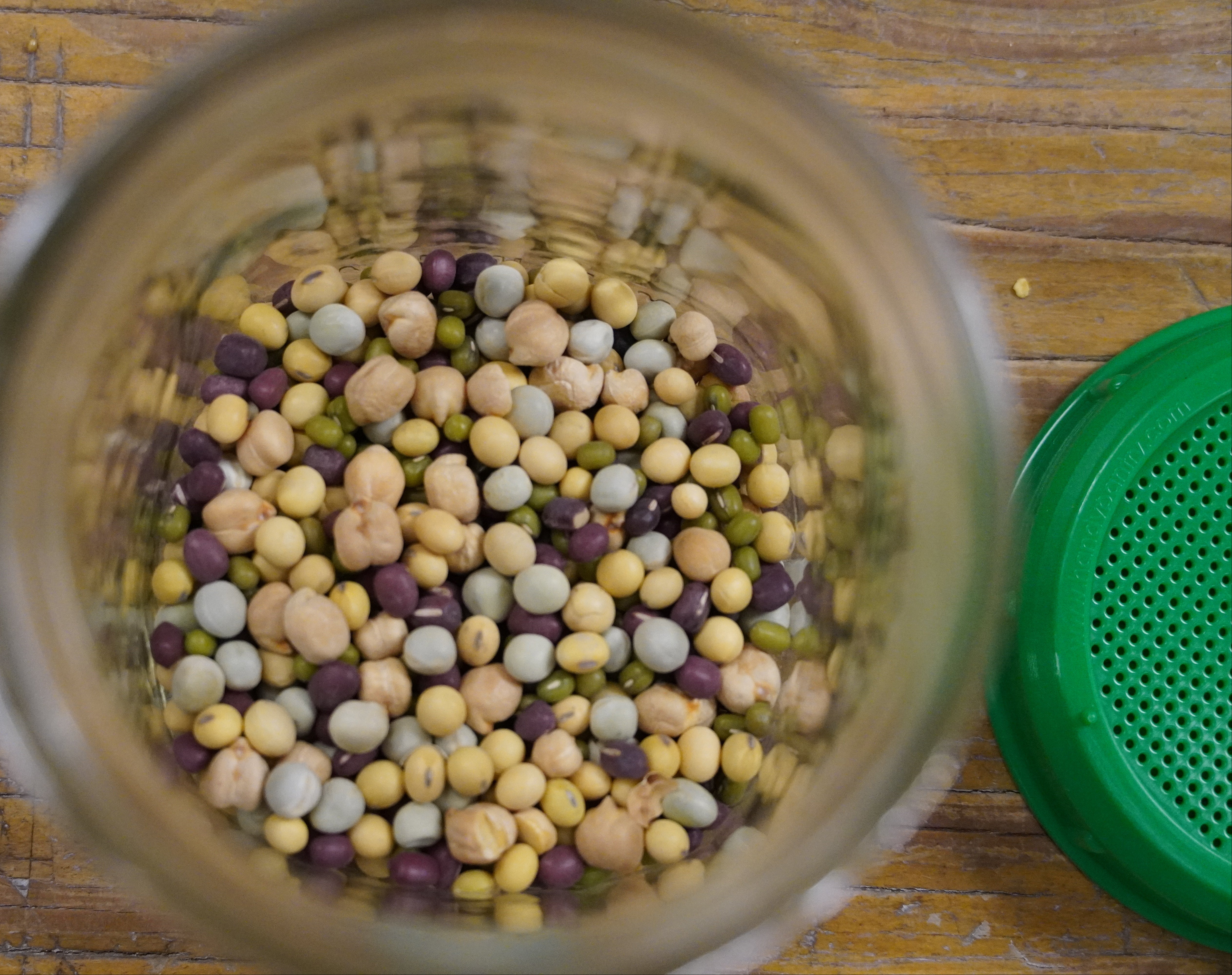 Sprouting Seed - Mega Protein Mix, ORGANIC - Sow True Seed