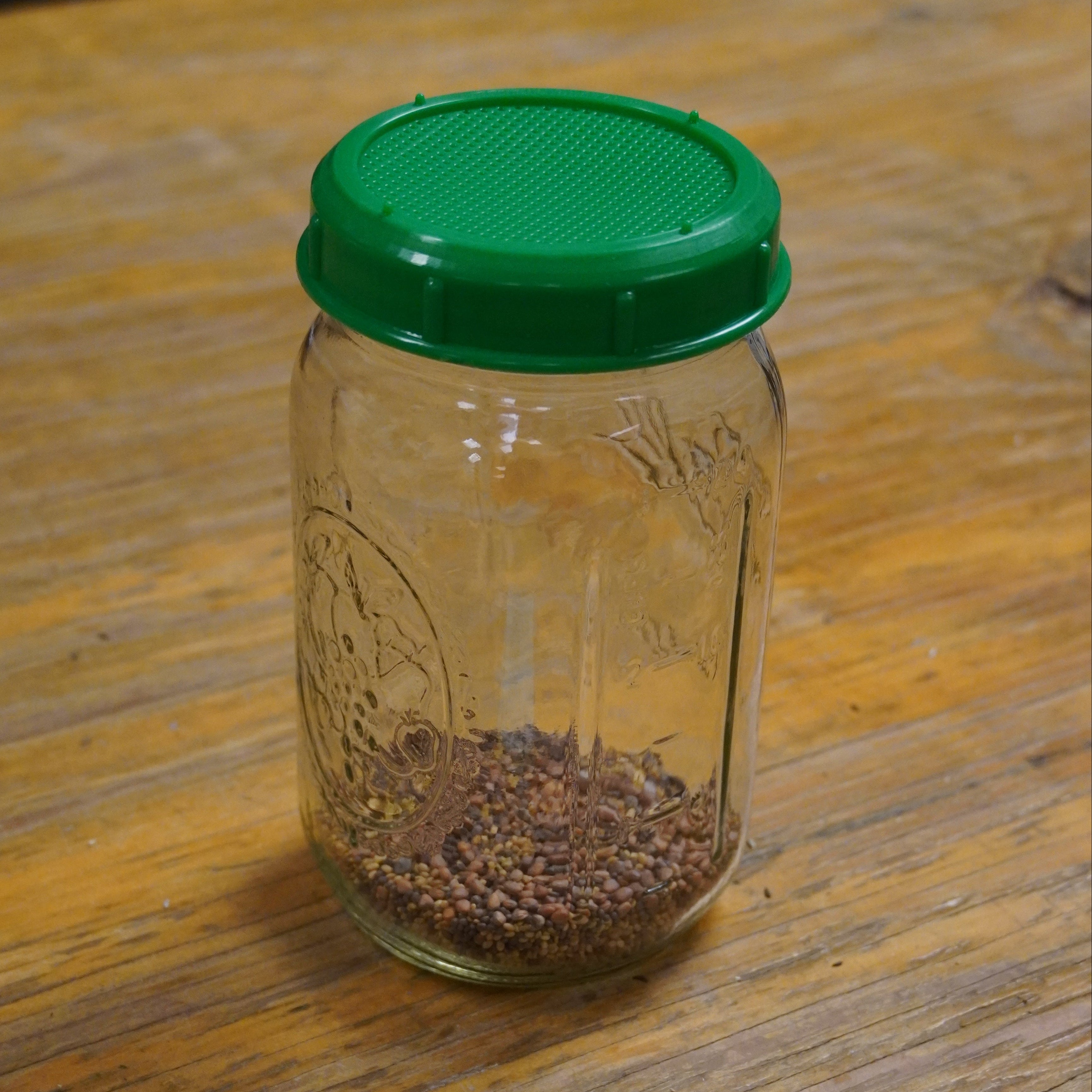 Sprouting Seed - Sprouting Salad Mix, ORGANIC - Sow True Seed