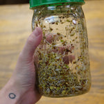 Sprouting Seed - Sprouting Salad Mix, ORGANIC - Sow True Seed