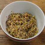 Sprouting Seed - Sprouting Salad Mix, ORGANIC - Sow True Seed