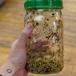 Sprouting Seed - Broccoli, ORGANIC - Sow True Seed