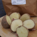 Dark Red Norland Potato, ORGANIC - Sow True Seed