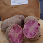 Terra Rosa Potato, ORGANIC - Sow True Seed