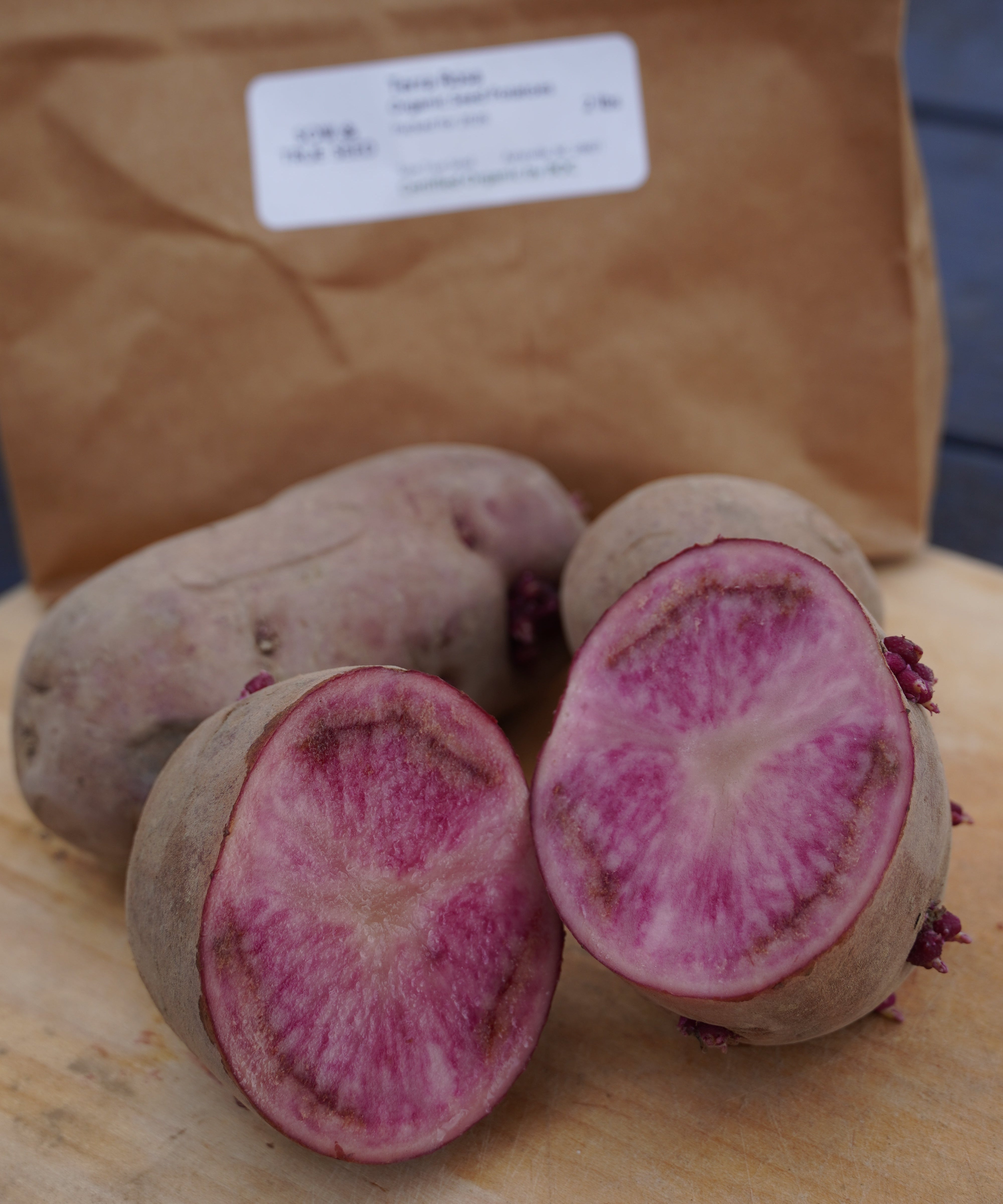 Terra Rosa Potato, ORGANIC - Sow True Seed