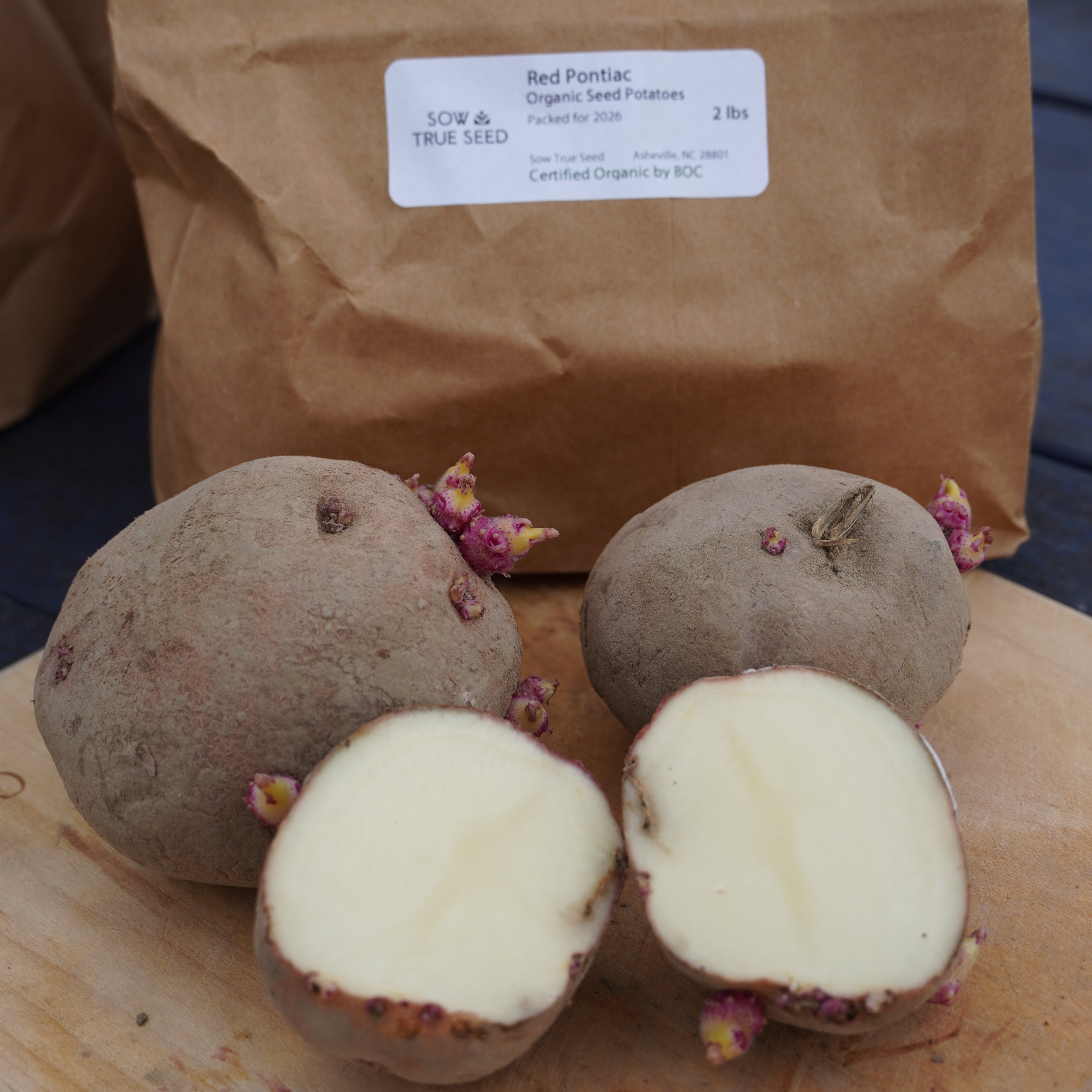 Red Pontiac Potato, ORGANIC - Sow True Seed