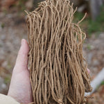 Mary Washington Heirloom Asparagus Crowns - Sow True Seed