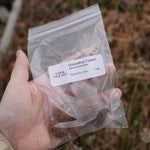 American Groundnut Tubers - Sow True Seed