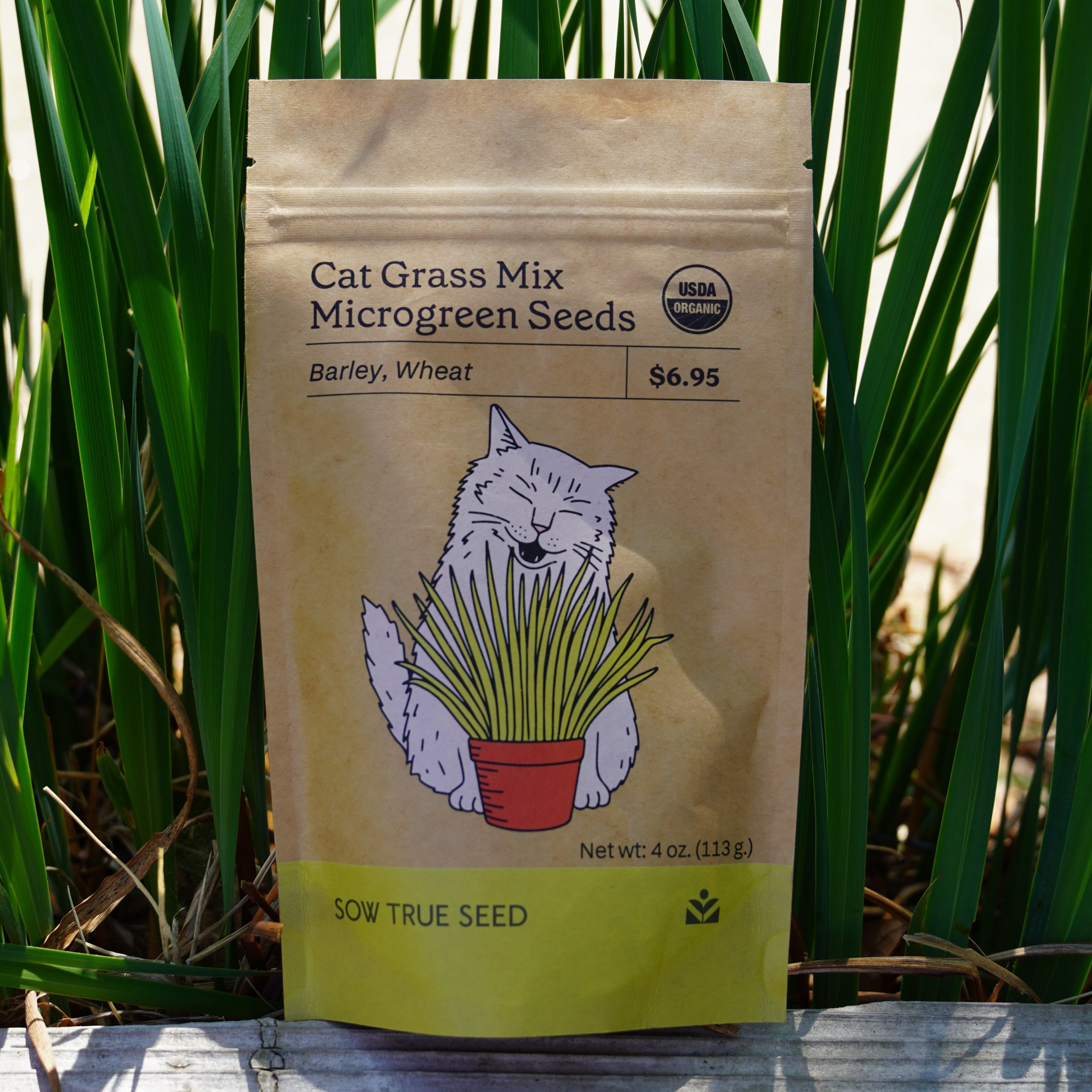 Microgreen Seed - Cat Grass Mix, ORGANIC - Sow True Seed