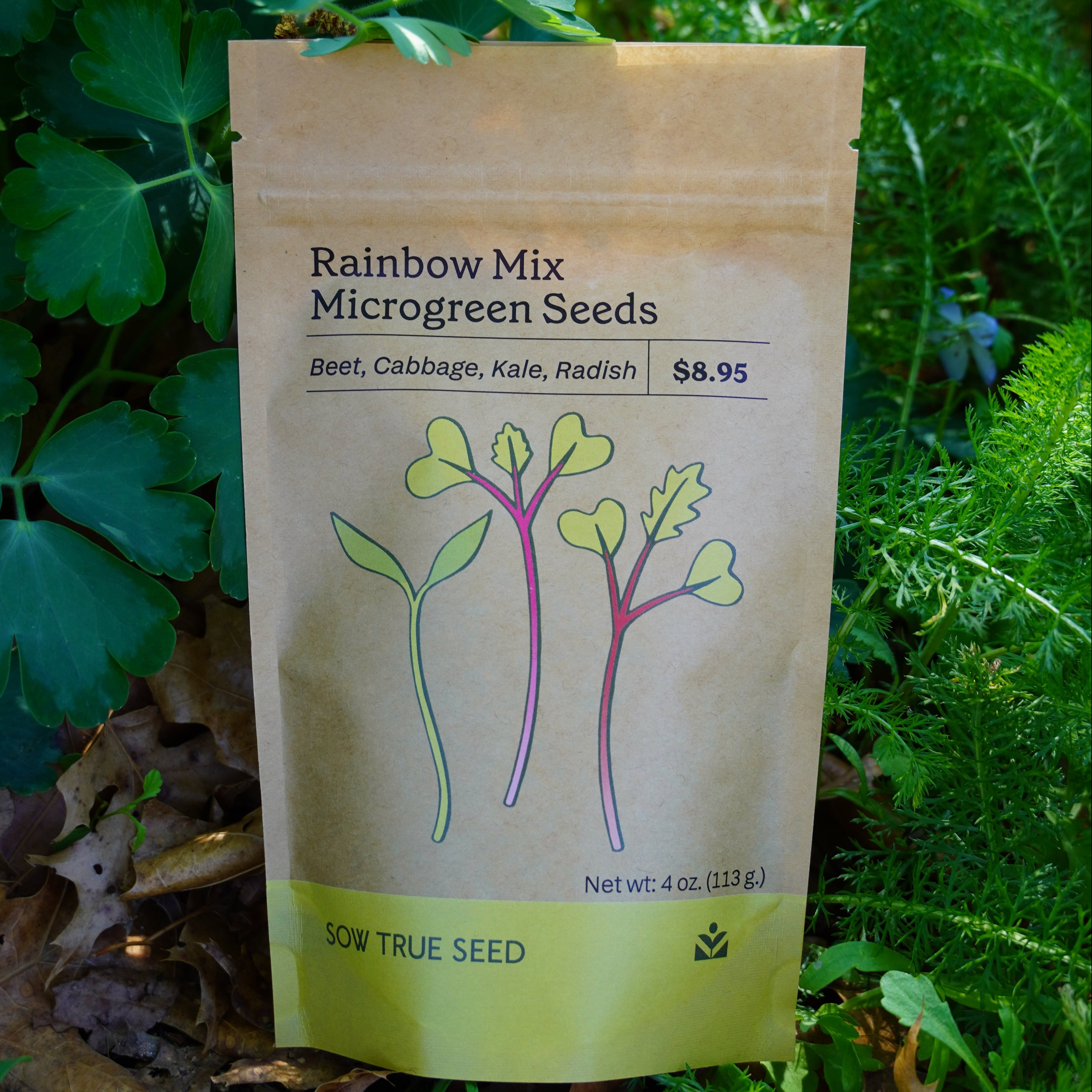 Microgreen Seed - Rainbow Mix - Sow True Seed