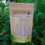 Microgreen Seed - Radish, China Rose, ORGANIC - Sow True Seed