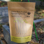 Sprouting Seed - Radish, China Rose, ORGANIC - Sow True Seed