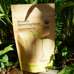 Sprouting Seed - Broccoli, ORGANIC - Sow True Seed