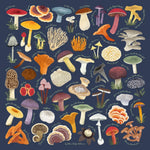 Blue Ridge Botanic Field Guide Bandanas - Sow True Seed