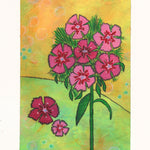 Dianthus Seeds - Sweet William Single Mix - Sow True Seed