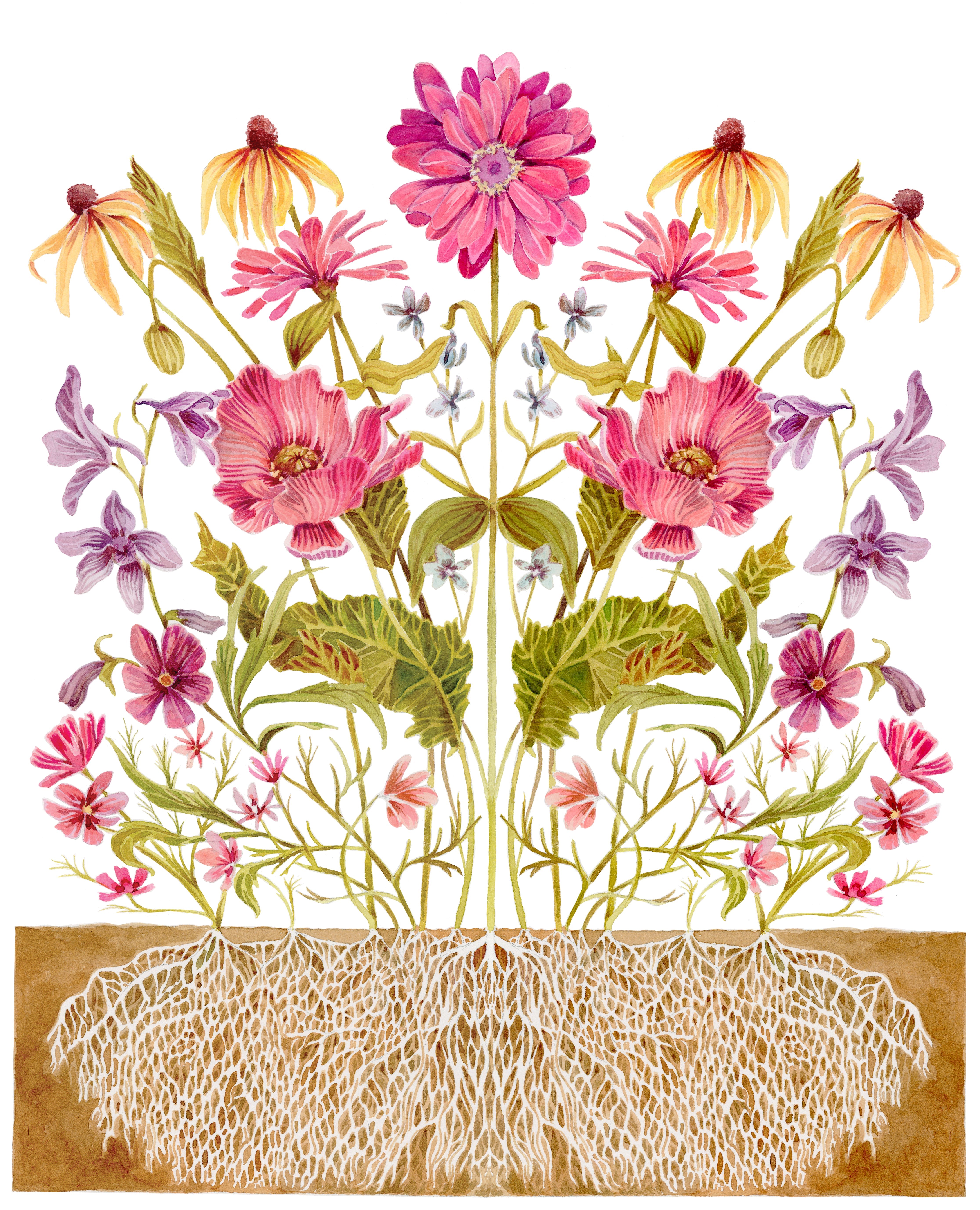 Flower Seed Mix - Cut Flower - Sow True Seed