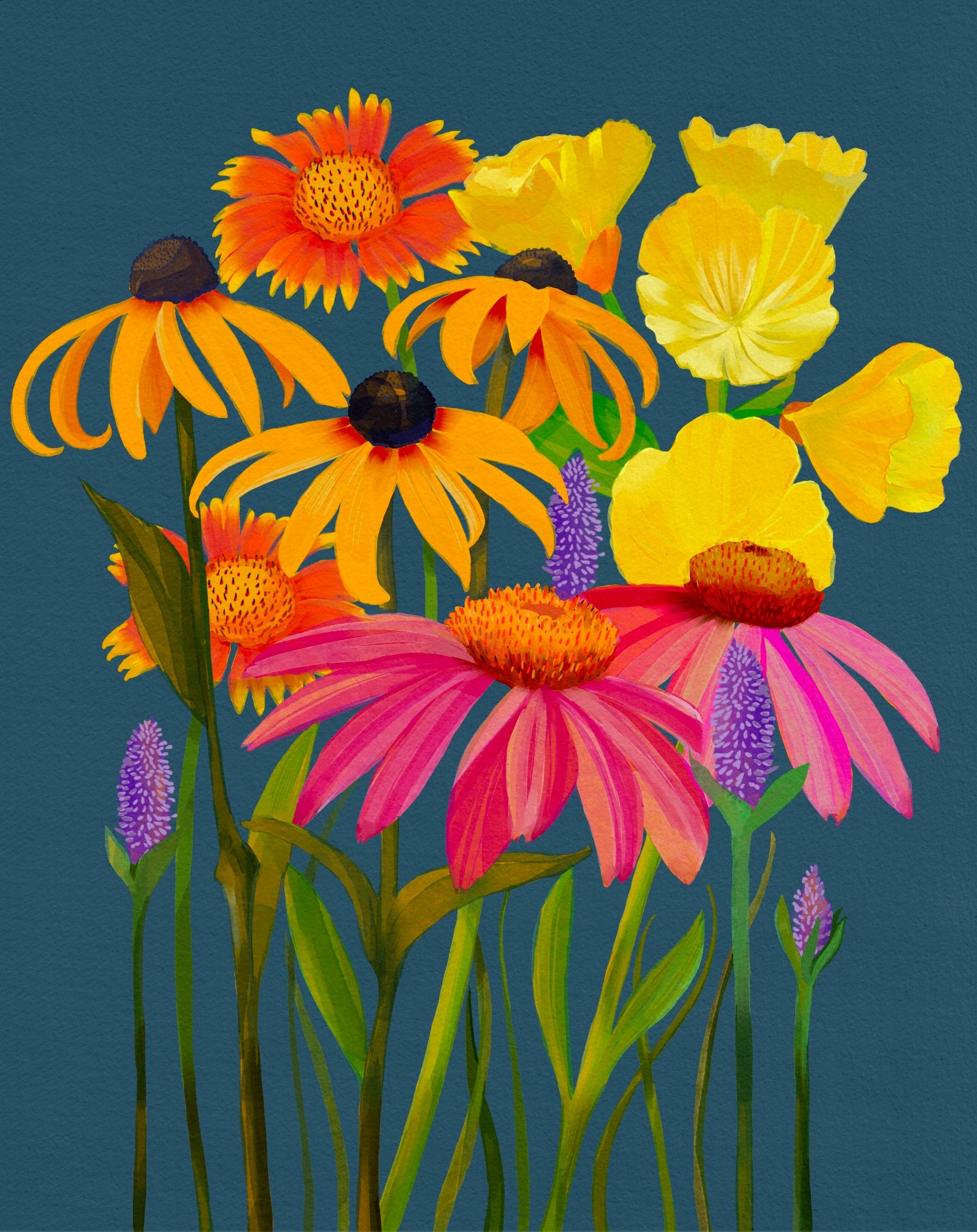 Flower Seed Mix - Midwest Native - Sow True Seed