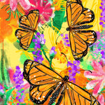 Flower Seed Mix - Monarch Butterfly - Sow True Seed