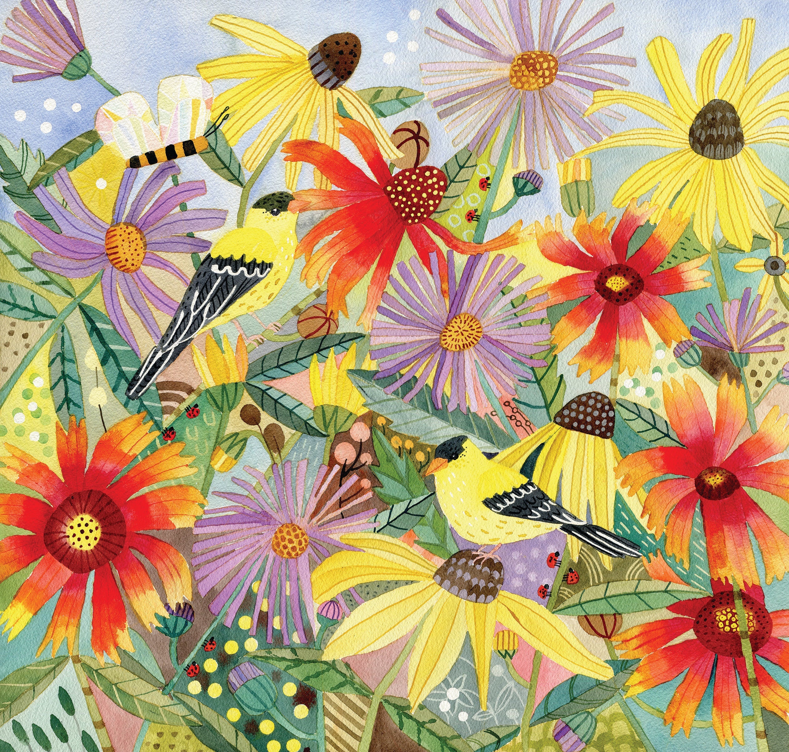 Flower Seed Mix - Northeast Native - Sow True Seed