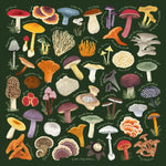 Blue Ridge Botanic Field Guide Bandanas - Sow True Seed