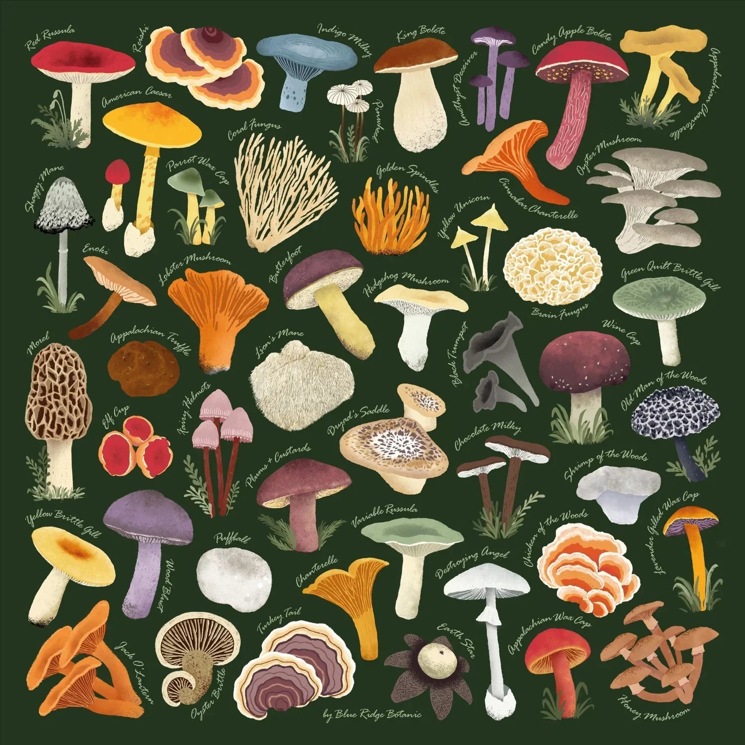 Blue Ridge Botanic Field Guide Bandanas - Sow True Seed