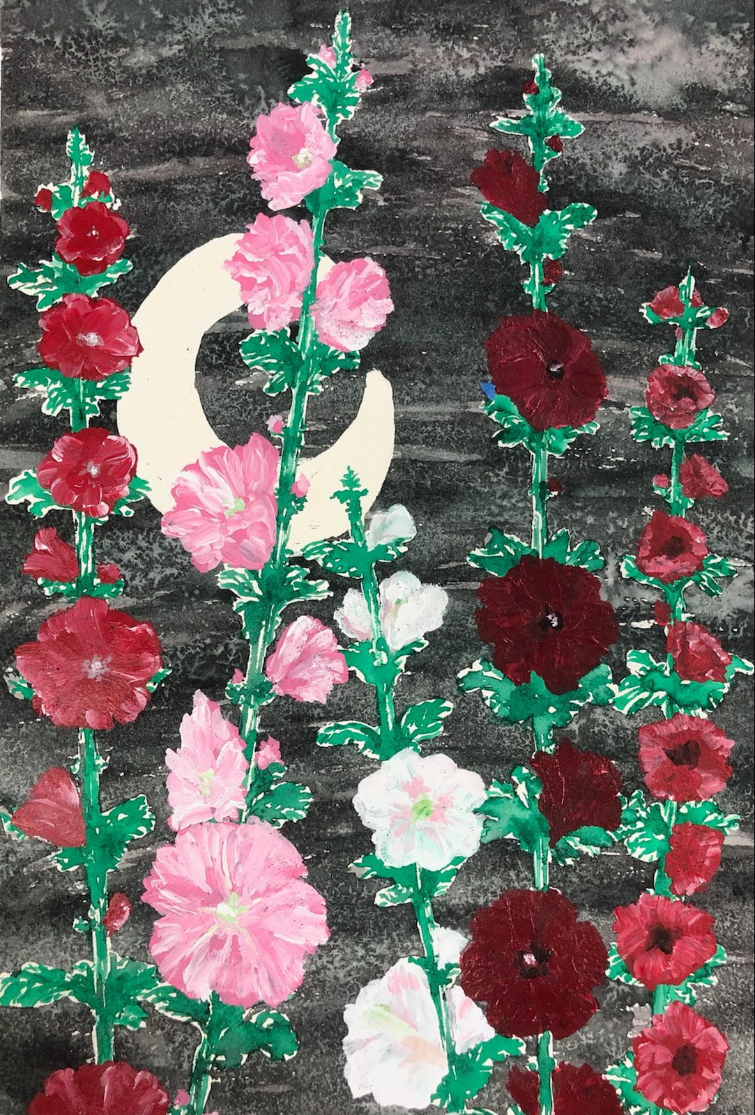 Hollyhock Seeds - Outhouse Mix - Sow True Seed