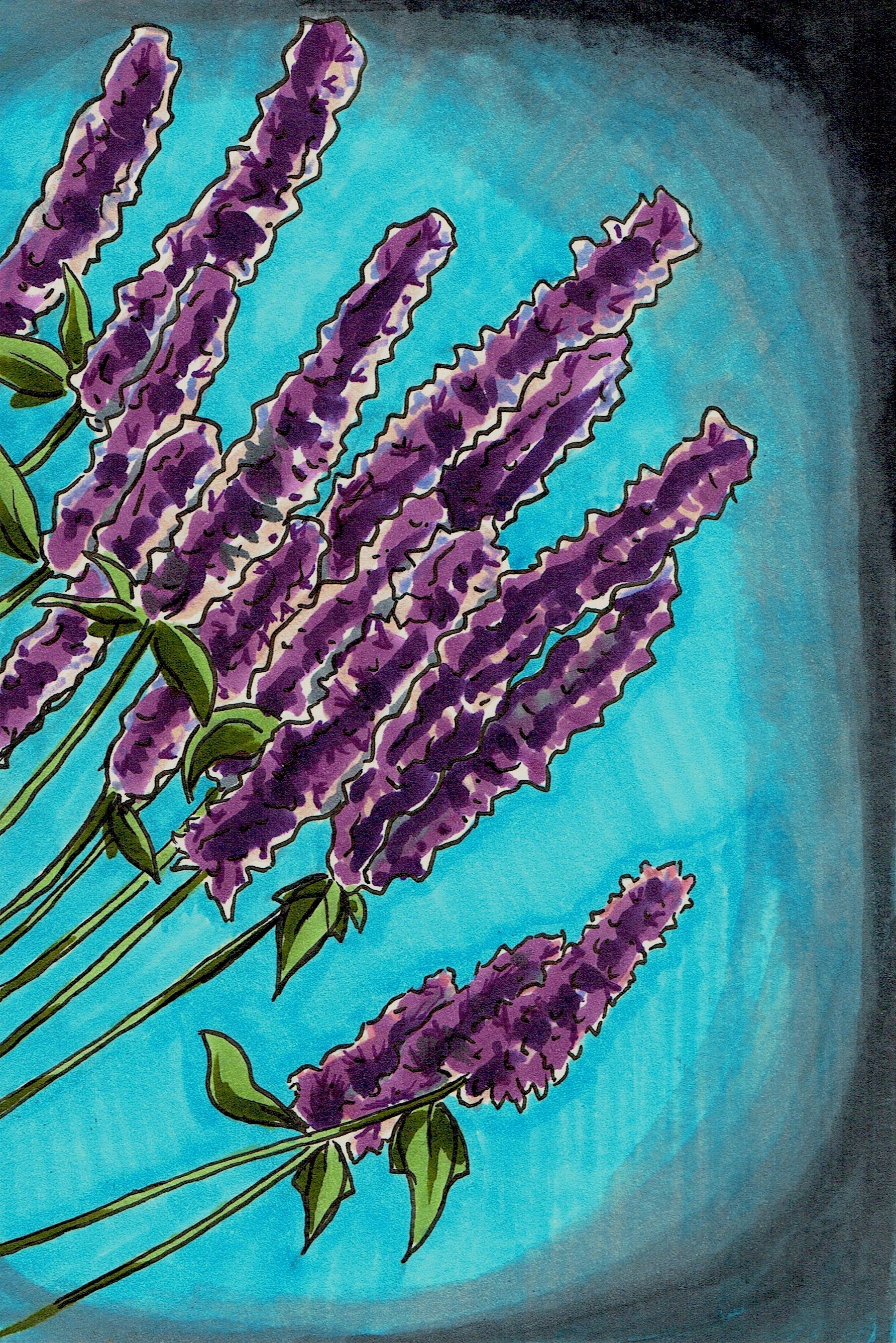 Hyssop Seeds - Sow True Seed