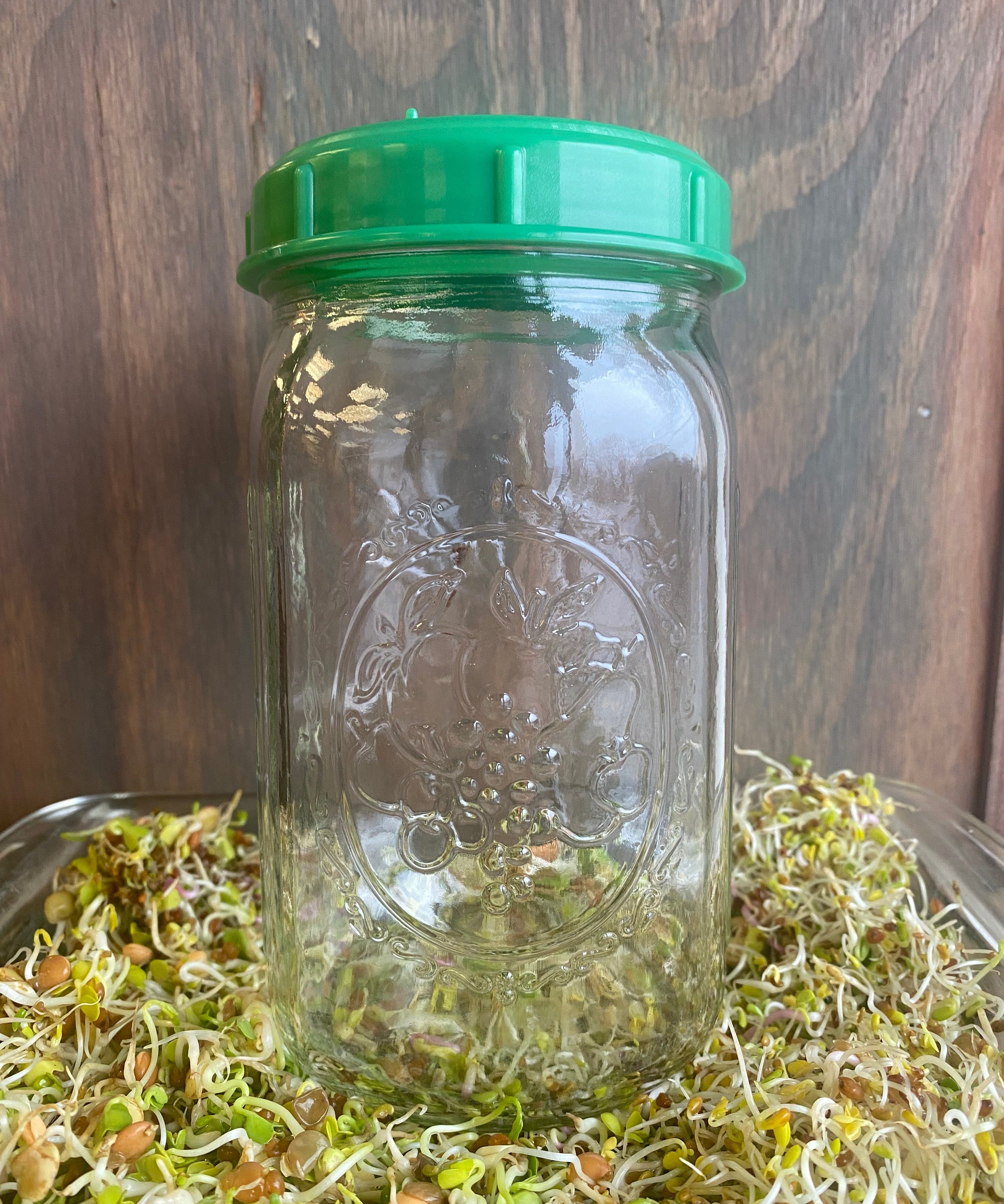 Sprouting Seed Jar with Top (no seed) - Sow True Seed