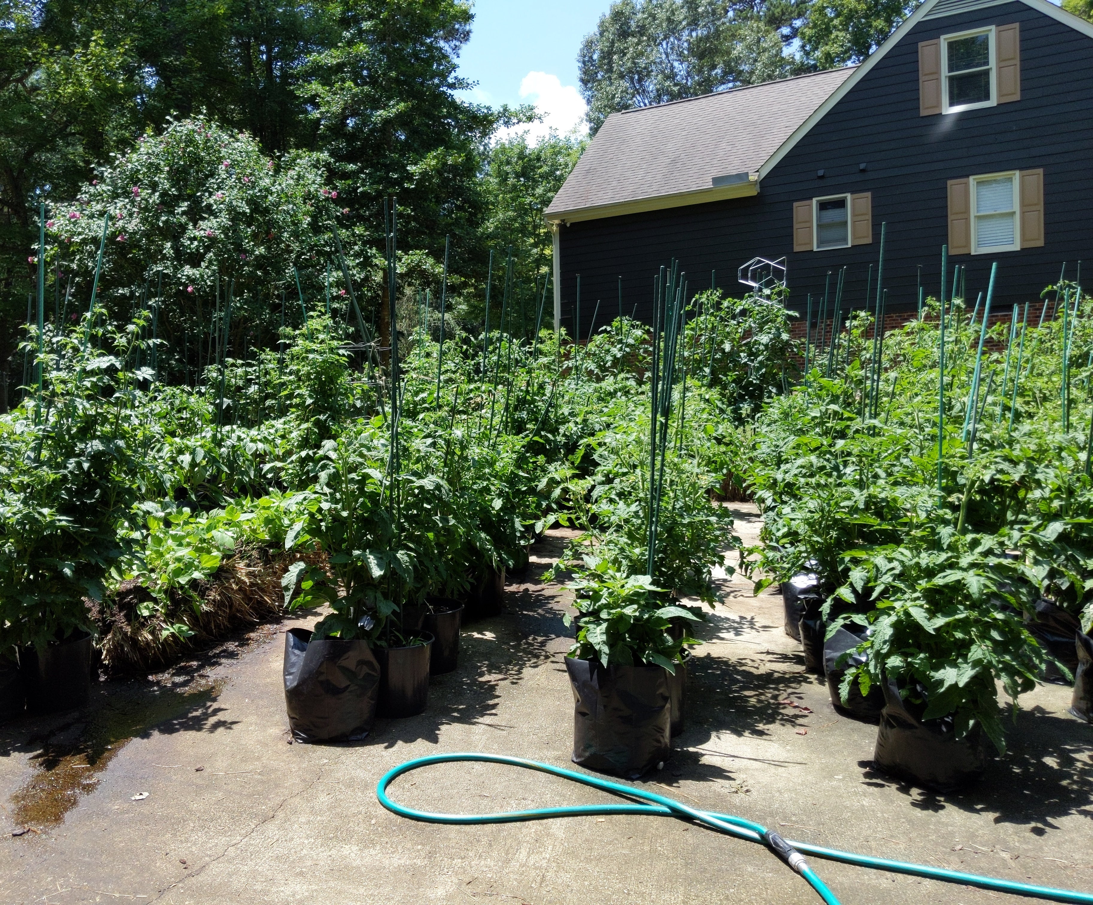 IN PERSON CLASS: Bring Your Garden to the Sun with Container Gardening - Sow True Seed