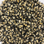 Sweet Corn Seeds - Hjerleid Blue - Sow True Seed