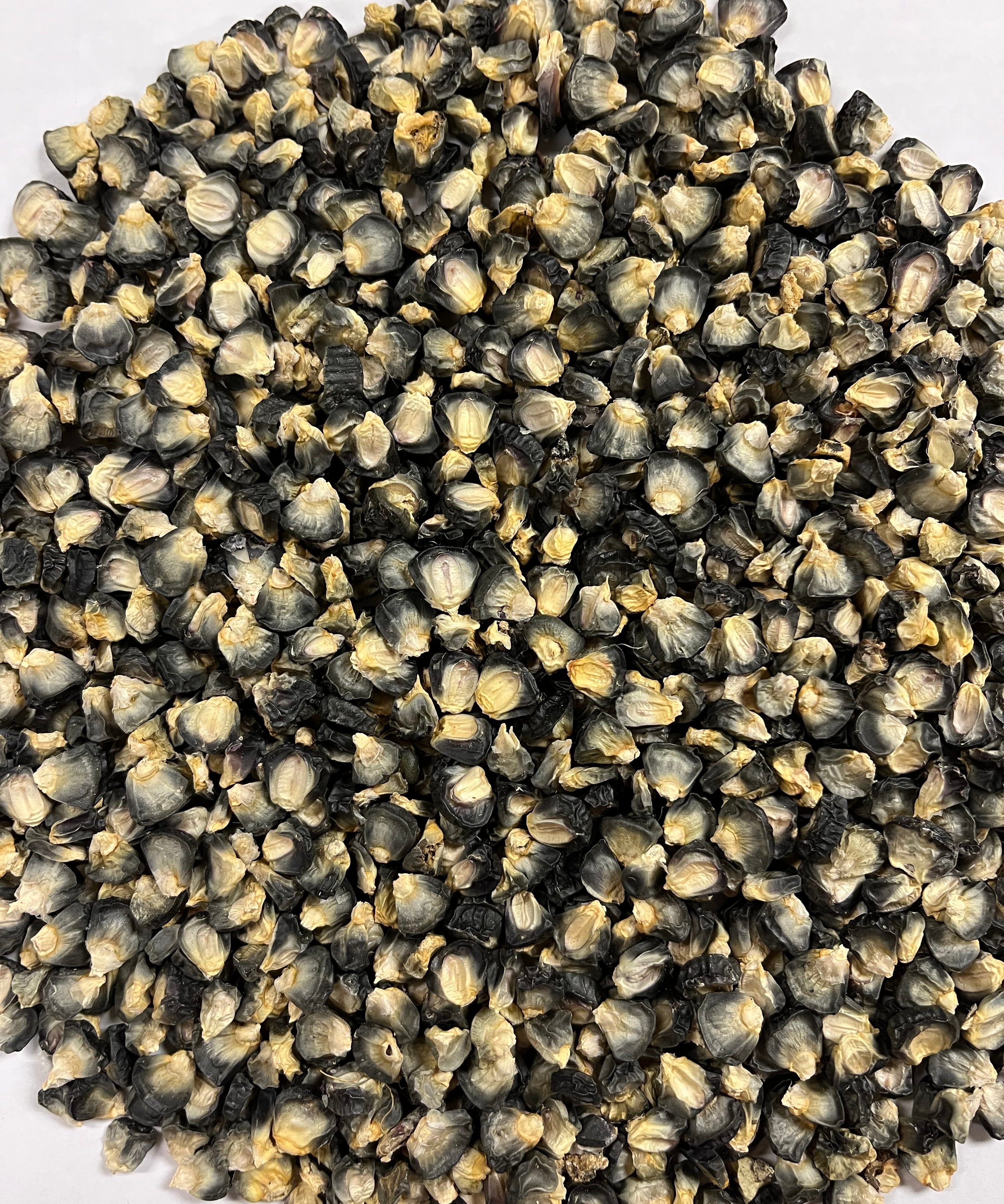 Sweet Corn Seeds - Hjerleid Blue - Sow True Seed