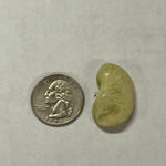 Lima Bean Seeds - Dr. Martin - Sow True Seed