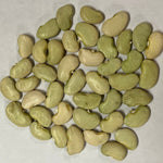 Lima Bean Seeds - Dr. Martin - Sow True Seed