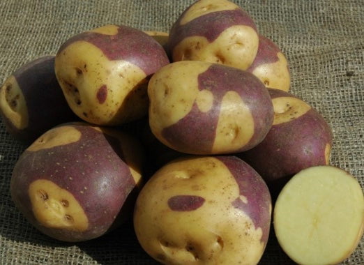 Masquerade Potato, Naturally Grown - Sow True Seed