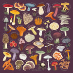 Blue Ridge Botanic Field Guide Bandanas - Sow True Seed
