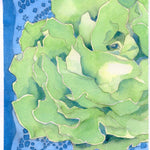 Lettuce Seeds - Kagraner Sommer - Sow True Seed