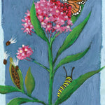 Milkweed Seeds - Swamp - Sow True Seed