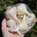 Music Hardneck Garlic - Sow True Seed