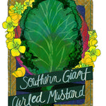 Mustard Greens Seeds - Southern Giant Curled - Sow True Seed
