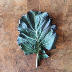 Collard Seeds - Purple Ultracross - Sow True Seed