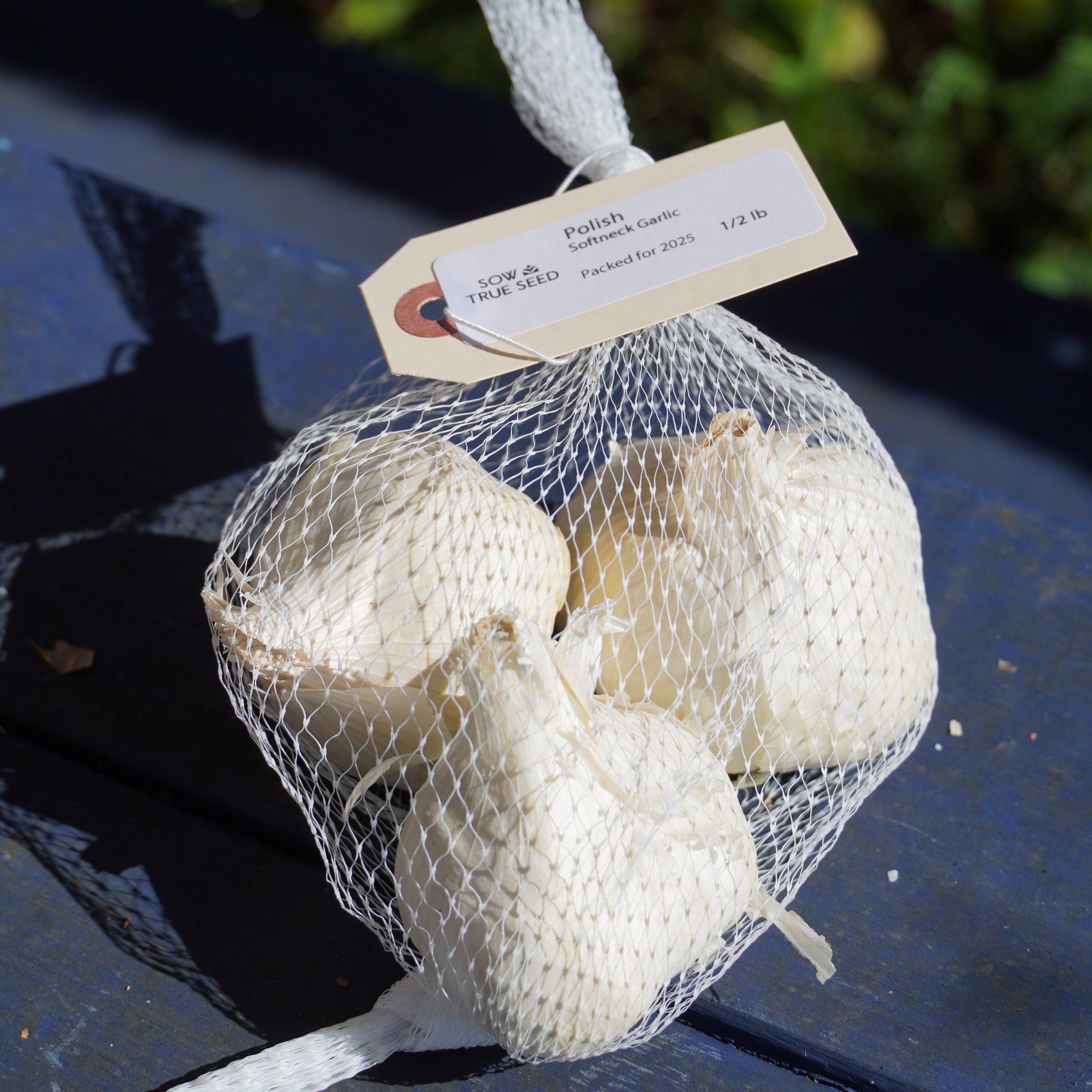 Polish Softneck Garlic - Sow True Seed