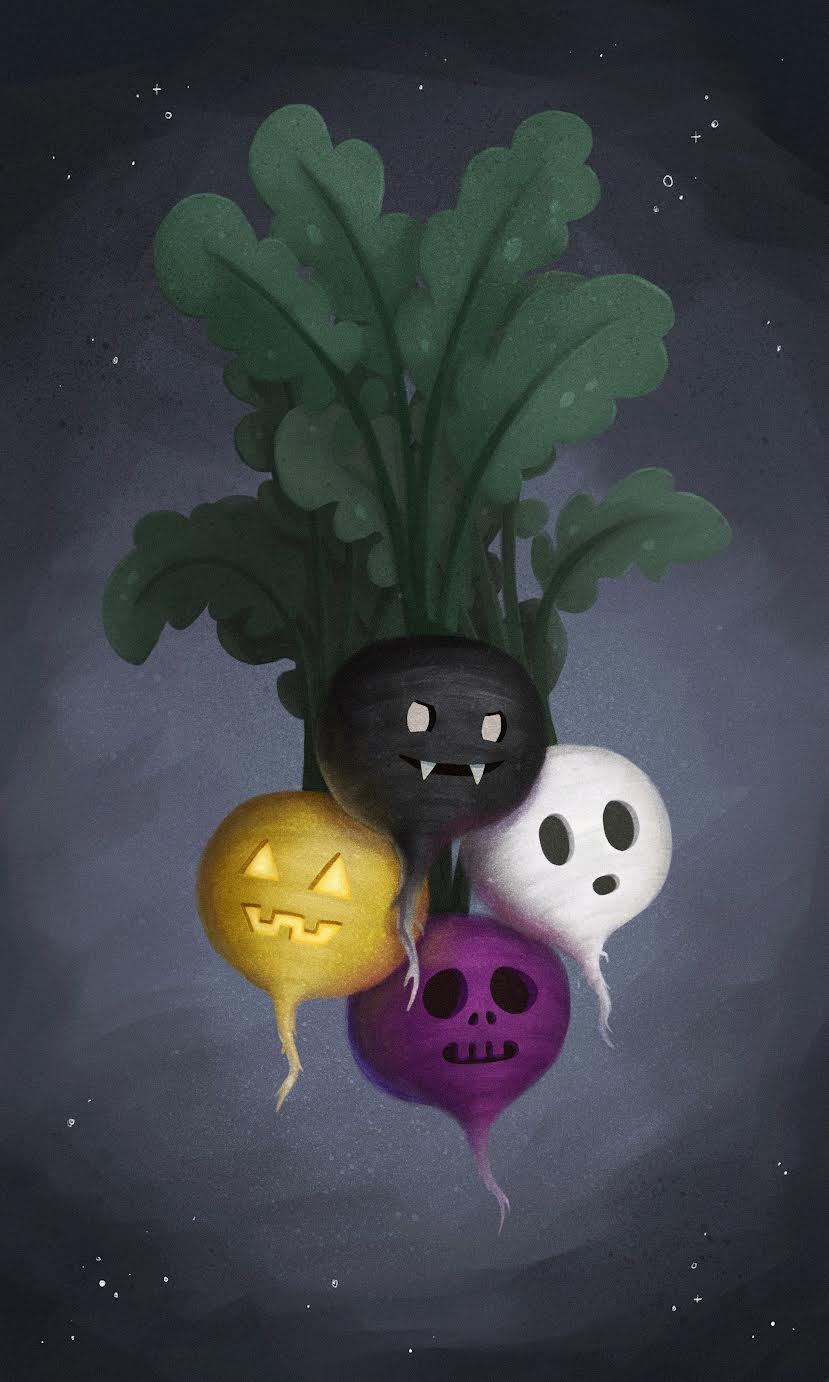 Radish Seeds - Halloween Mix - Sow True Seed
