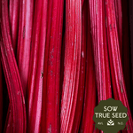 Rhubarb Crown, Crimson Red - Sow True Seed