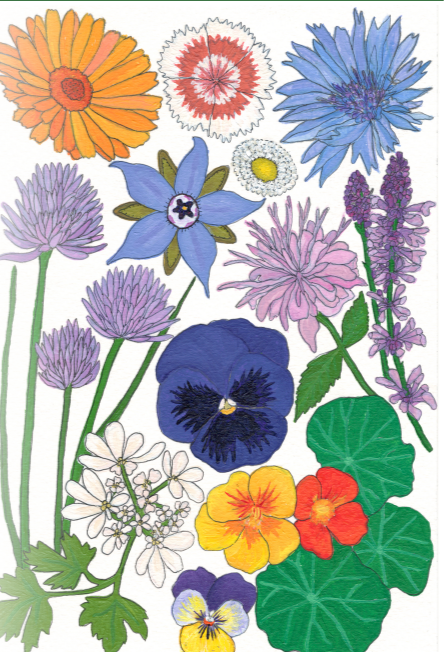 Flower Seed Mix - Edible Flowers - Sow True Seed