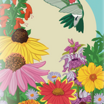 Flower Seed Mix - Southeast Native - Sow True Seed